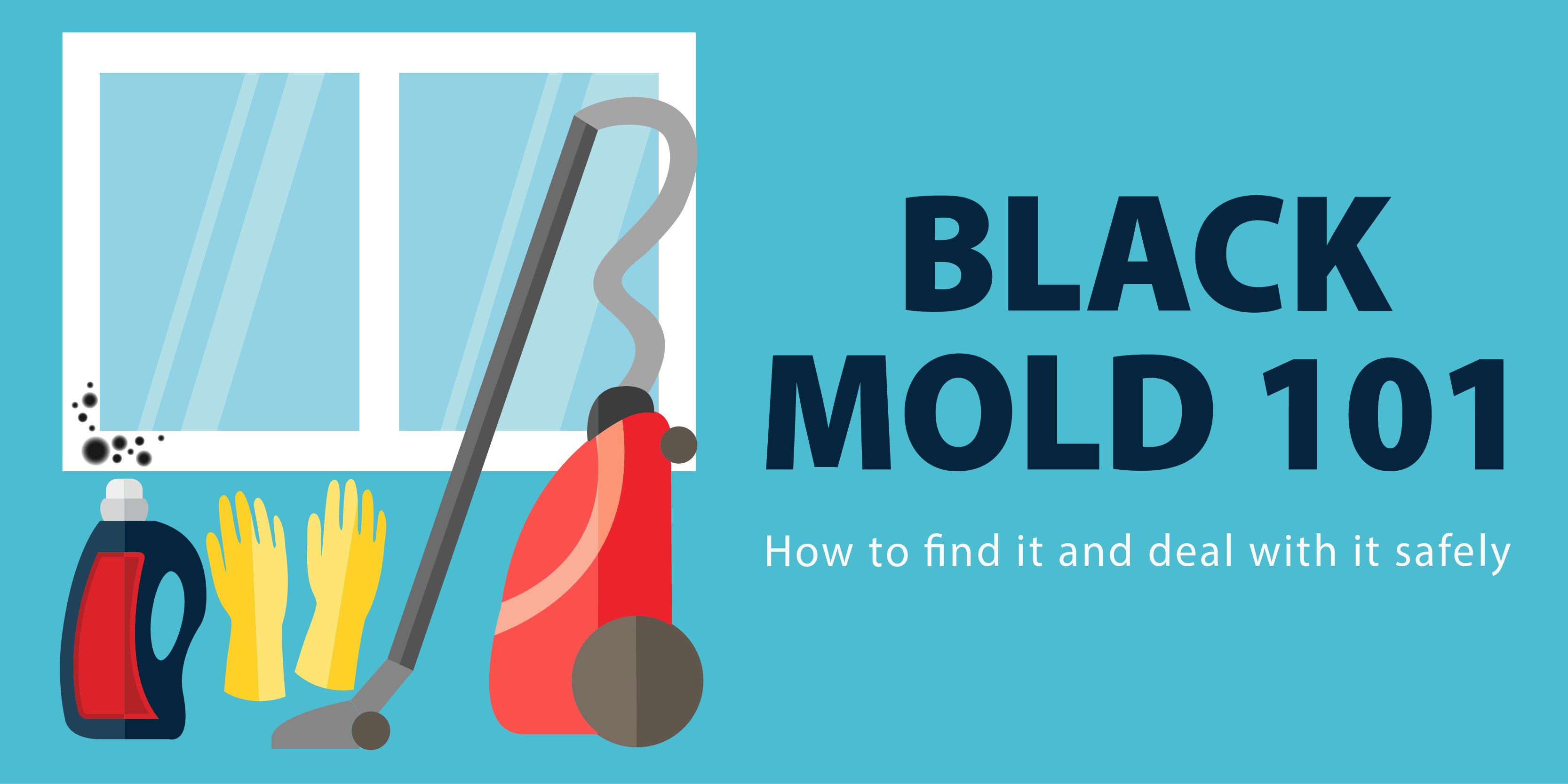 How To Properly Identify Black Mold - SanAir Technologies Laboratory, Inc.